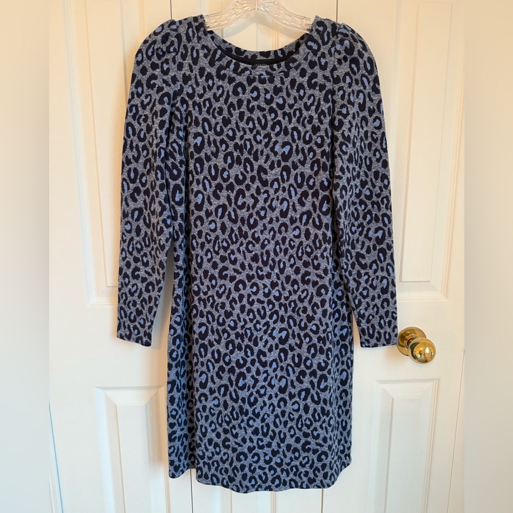 Talbots Blue and White Long Sleeve Sheath Dress